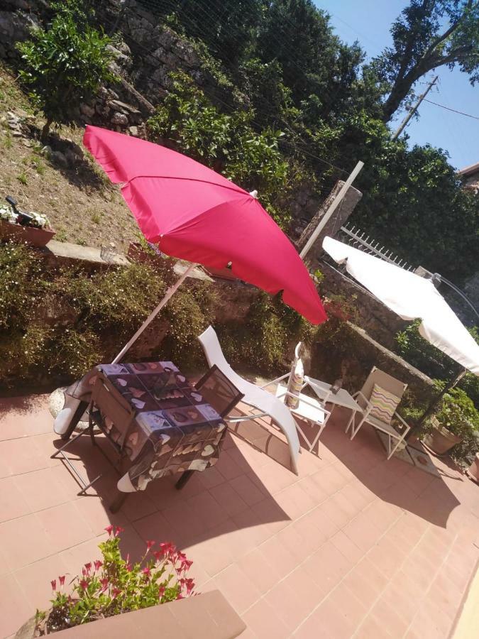 La Rosa Hotel Ameglia Bagian luar foto